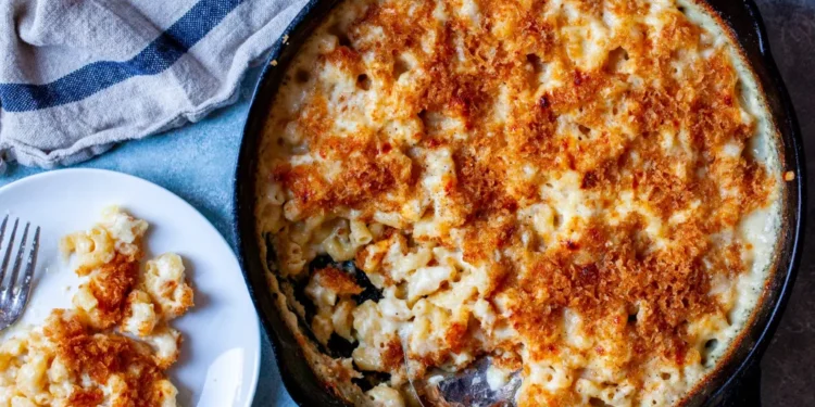 Baked Macaroni and Cheese